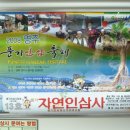 자연인삼사