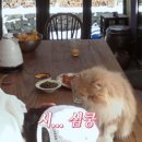 본미미 민박 이미지