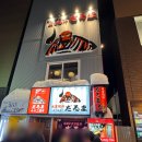 징기스칸 | 삿포로 스스키노 징기스칸 다루마 4.4 맛집 후기 재방문 의사?