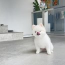 오픈미용실
