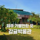 감귤박물관 화장실(1,2층) | 제주 아이랑 가볼만한 곳🍊 체험학습 갔다가 뜻밖에 만족한 감귤박물관