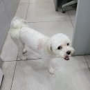 모리동물병원 이미지