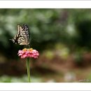 수원농장 이미지