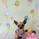 아이멍그라운드 이미지