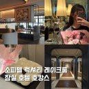 디 TOP 호텔 | [잠실 호텔] 소피텔 호캉스 객실추천 • 시설이용방법 및 주차안내