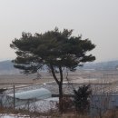 선원면-5 이미지