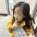 율이파파 이미지