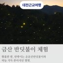 한국금연교육원 | 대전 근교 가볼만한곳 국내 최대 반딧불이 생태체험 금산 반딧불이 체험
