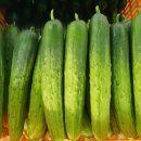 하늘그린 이미지