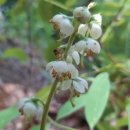 산마루정 이미지