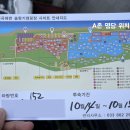 강릉 바다 앞 연곡솔향기캠핑장 명당 배치도 및 A 존 후기