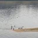 한강수변길 이미지