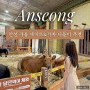 소목원2농장 | [안성] 핑크뮬리·코스모스 만개한 안성팜랜드 + 동물 먹이체험 후기