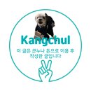 창원유니동물약국 | 창원 해장국 애견동반 맛집 중동 제주해장국 내장탕 유니시티 맛집 반려동물 실내동반 내돈내산