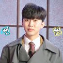 마이셀 Daum카페