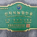 힐라이프 - 안성시 | 힐라이프