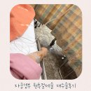 경부한의원 | 자궁경부 원추절제술 당일~일주일차 후기 수술 후 면역관리