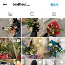 버드플레르 이미지