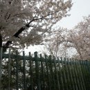 대구남산초등학교 이미지