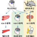 국립해양생물자원관 뉴스1