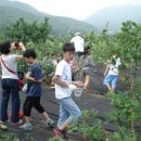 용계초등 이미지