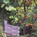 상양농장 | 밀양 운문산 최단코스 상양마을-아랫재-정상으로 이어지는 단풍산행 후기와 추천맛집