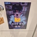 제우스게임장 이미지