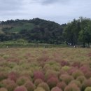 전곡리 선사유적지 탐방안내소 이미지