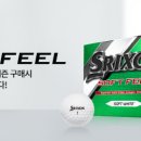 필소프트 이미지