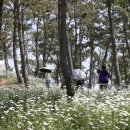 장산도 엔디엔뉴스