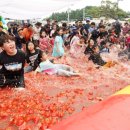 토마토 수영장 이미지