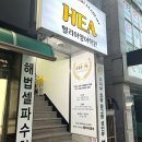 영어회화반 | 원주 무실동 초등 영어학원 추천 헬리아영어 킨더반 성인영어회화반 내돈내산 후기