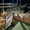 하회로 가는 펜션형민박 이미지