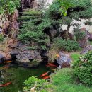 베트남 여행시 광견병과 예기치 않은 사고 조심하세요 ! 이미지