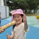 대전청사아람어린이집 네이버블로그