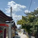 유로애견샵 이미지