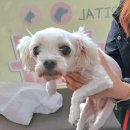 왕장5리 이미지