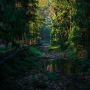 석봉프라자 | 장가계 위치부터 비행시간 직항 패키지까지 한눈에 정리!