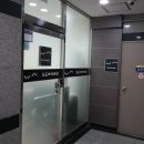 도도아이래쉬