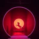 계림 | [경주 혼자놀기 코스 추천] 플래시백:계림 후기