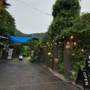 529 | 경기도 물놀이 카페 양평 내추럴가든529 후기