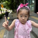 라이크베베워터룸 주말종일 내돈내산 솔직후기