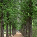 배재로197번길 이미지