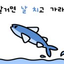 훼미리호프