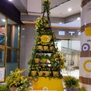 누리아미 이미지