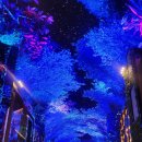 돌고래리조트 이미지