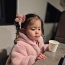 청춘포차부천역직영점 | 대천 조개구이 무한리필 맛집 청춘조개포차 3단 가리비타워 석화찜 추천