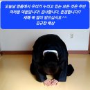 [인천 in] 김규찬 국회의원선거 출마예정자, 인천시는 &#39;광역소각장 전면 재검토&#39; 후속 행정절차 이행하라고 공개 요구 이미지