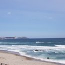 동해바다 이미지