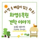 모두의배움숲(열매반) | 부산 북구 화명동 대림유치원 5살 고운열매반 고운마음반 화명수목원 동래 금정산 수목원 견학
